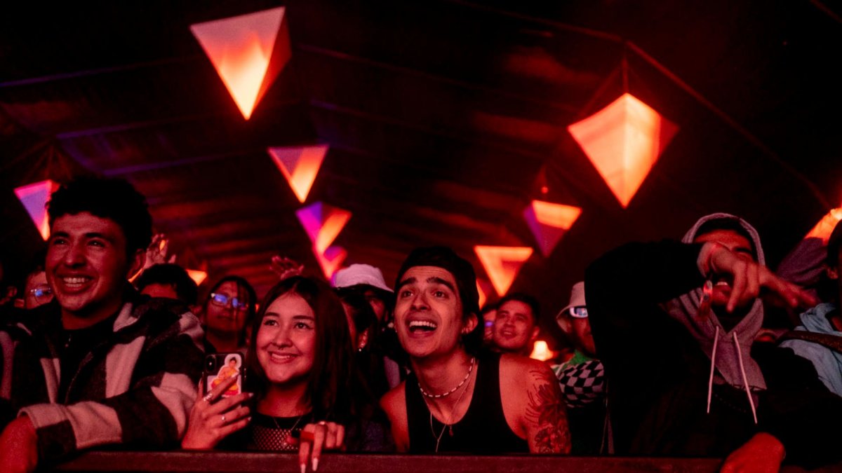 Asistentes del Estéreo Picnic