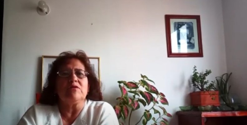 Trabajadora Doméstica Trabajadora Doméstica