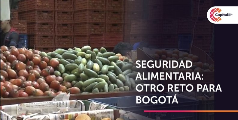 Alimentos Alimentos