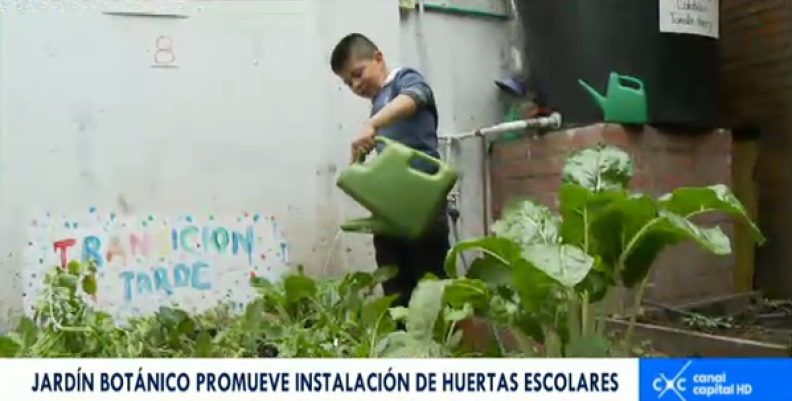 Agricultura Urbana, una nueva apuesta de educación para nuestros niños Colegio República de Colombia