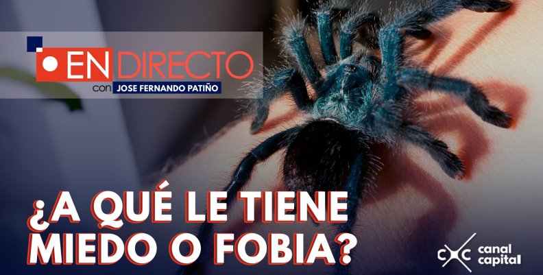 ¿Cómo superar las fobias o temores? ¿Cómo superar las fobias o temores?
