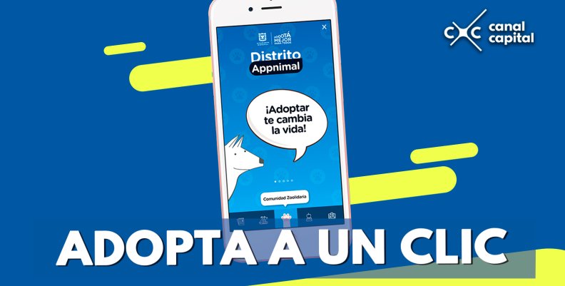 distrito-appnimal distrito-appnimal