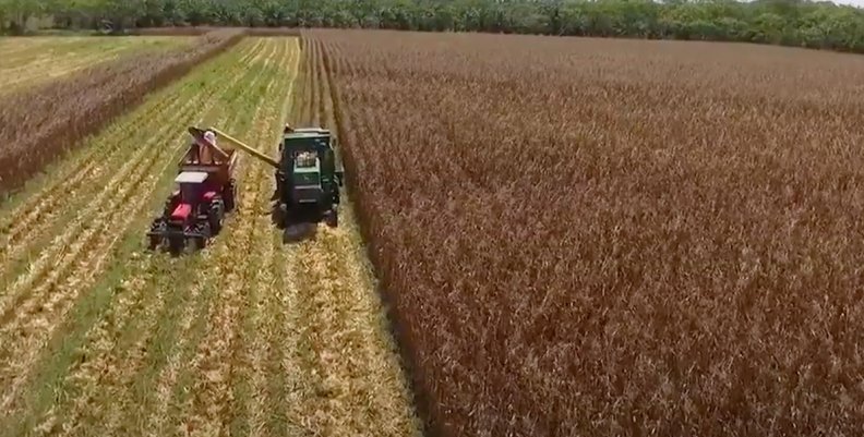 Agricultores Agricultores