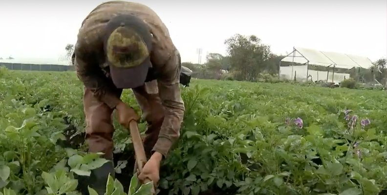 Agro Agro