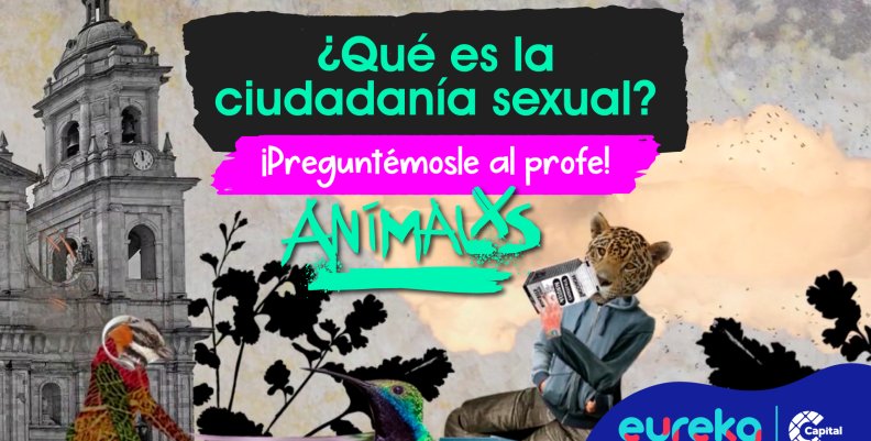 animalxs1 animalxs1