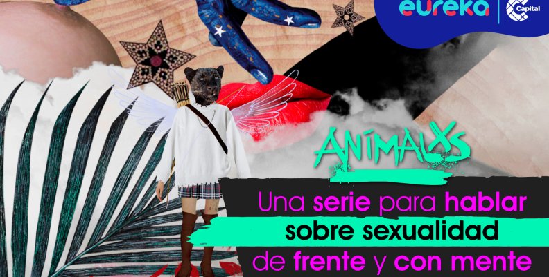 animalxs3 animalxs3