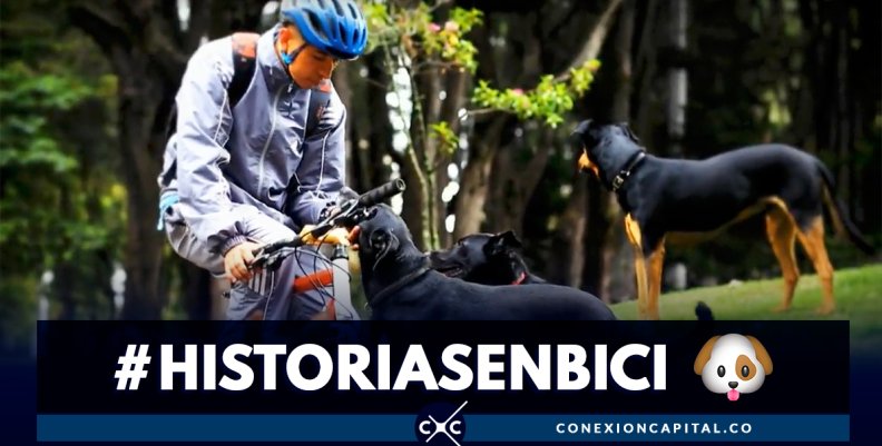 Así trabaja un paseador de perros en bici Así trabaja un paseador de perros en bici