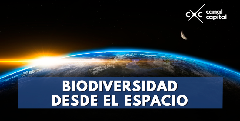 biodiversidad biodiversidad