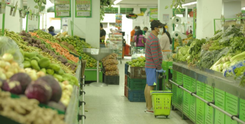 Alimentos Alimentos