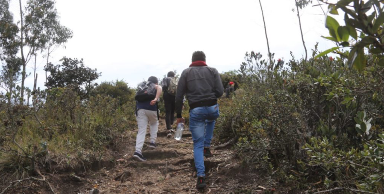 Caminatas Caminatas
