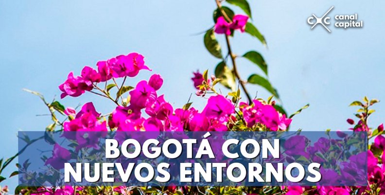 BOGOTÁ-CON-NUEVOS-ENTORNOS (1) BOGOTÁ-CON-NUEVOS-ENTORNOS (1)