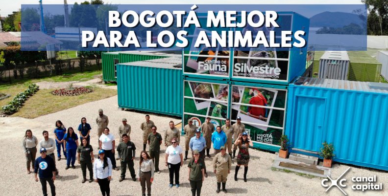 Con Centro de Fauna Silvestre se celebra el primer año del IDPBA en Bogotá Con Centro de Fauna Silvestre se celebra el primer año del IDPBA en Bogotá