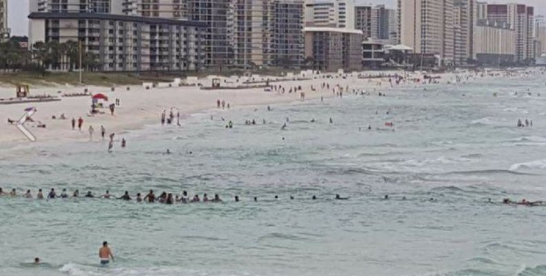 Cadena-humana-florida Cadena-humana-florida