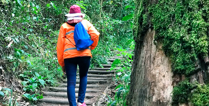 CAMINATA ECOLÓGICA CAMINATA ECOLÓGICA