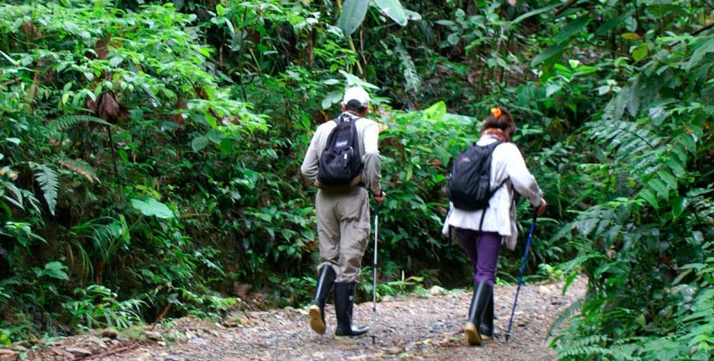 Caminatas Caminatas