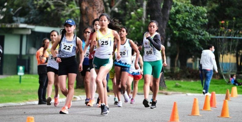 campeonatodemarcha campeonatodemarcha