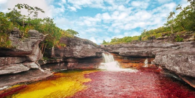 CAÑO_CRISTALES_–_LOS_OCHOS_01-696x463 CAÑO_CRISTALES_–_LOS_OCHOS_01-696x463