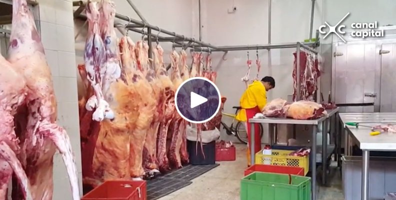 carne-legal carne-legal