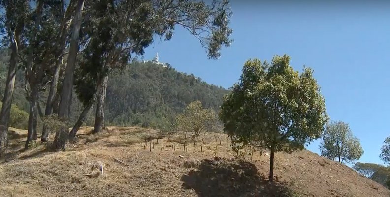 Cerros Cerros