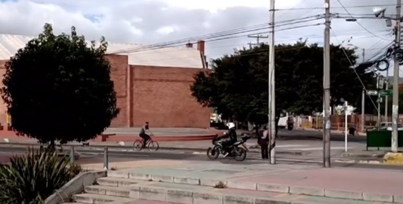 Chía Chía