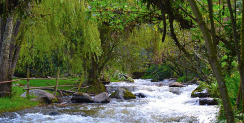 Río Neusa Río Neusa