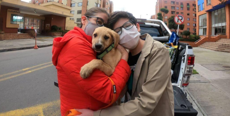 Inició la IX semana de Protección y Bienestar Animal Inició la IX semana de Protección y Bienestar Animal