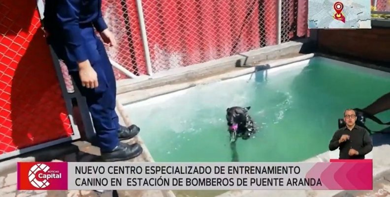 Nuevo centro de entrenamiento canino en estación de bomberos de Puente Aranda Nuevo centro de entrenamiento canino en estación de bomberos de Puente Aranda