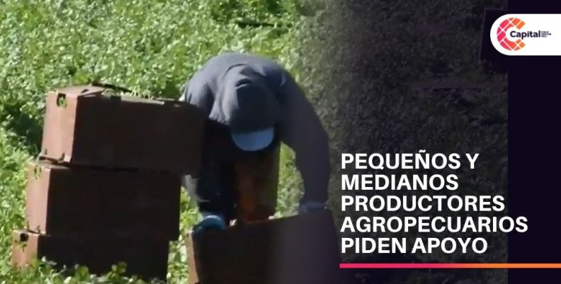 Pequeños y medianos agricultores solicitan apoyo Pequeños y medianos agricultores solicitan apoyo