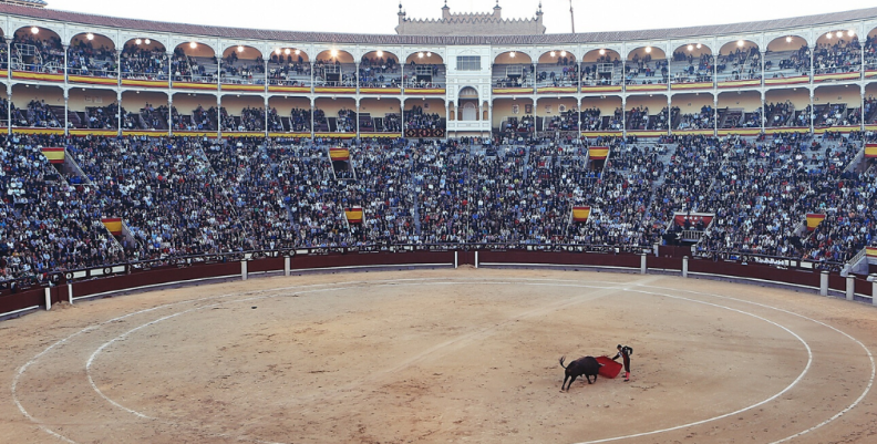 toros toros