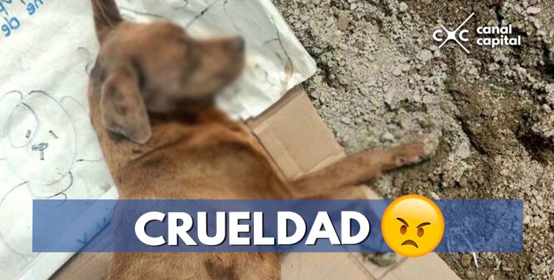 CRUELDAD CRUELDAD