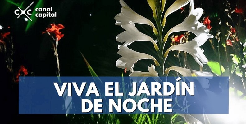 de-noche--min de-noche--min
