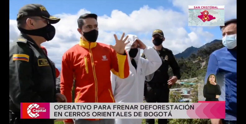deforestación deforestación