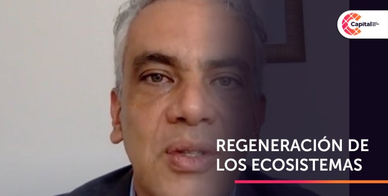 ECO ECO