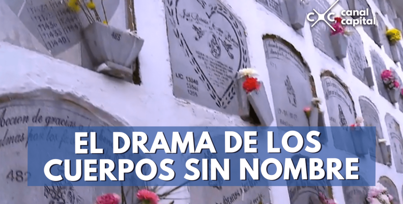 el-drama-min el-drama-min