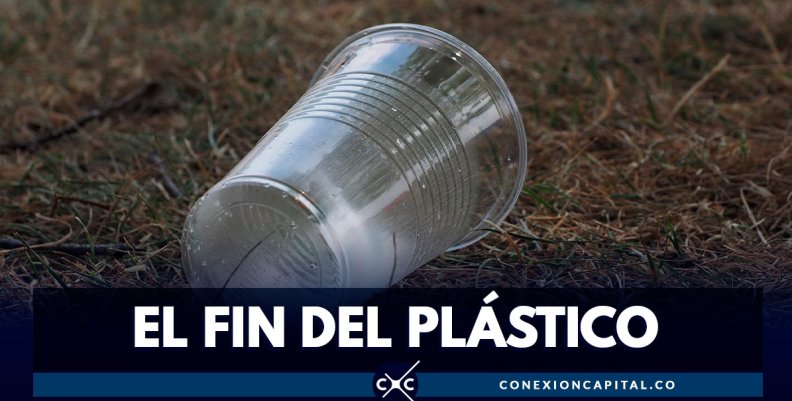 Joven científico encuentra el reemplazo de los vasos de plástico Joven científico encuentra el reemplazo de los vasos de plástico