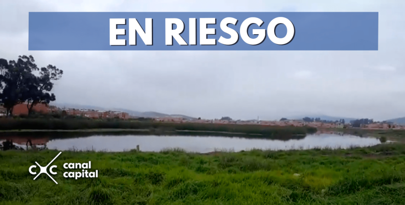 en-riesgo-min en-riesgo-min