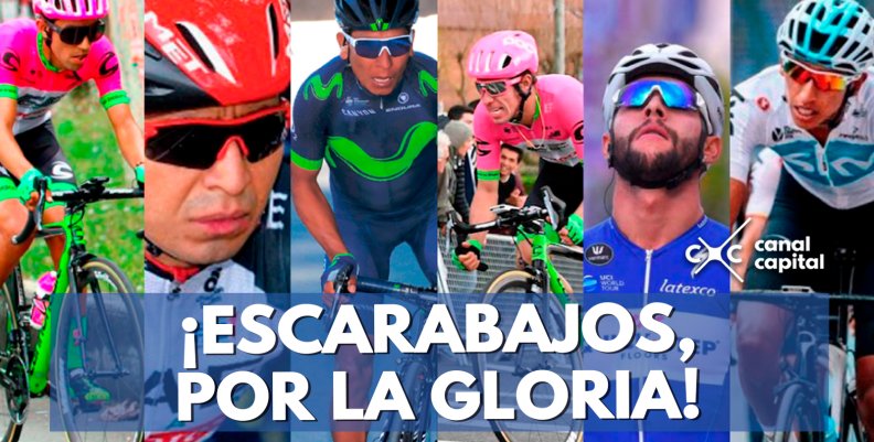 ¡Escarabajos, por la gloria! ¡Escarabajos, por la gloria!