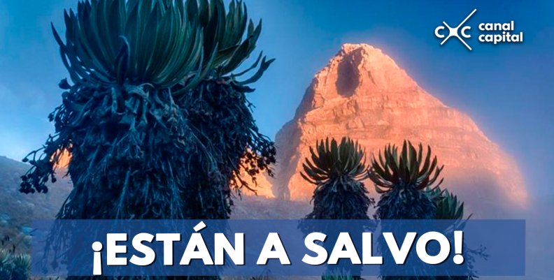 cuatro-paramos-a-salvo-actividad-minera cuatro-paramos-a-salvo-actividad-minera