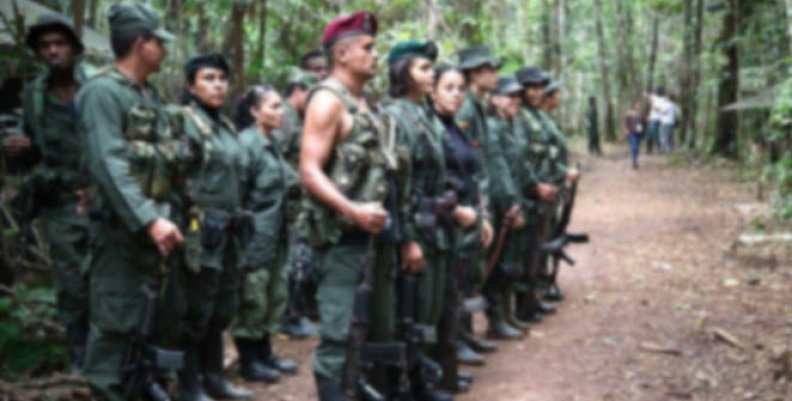 farc farc