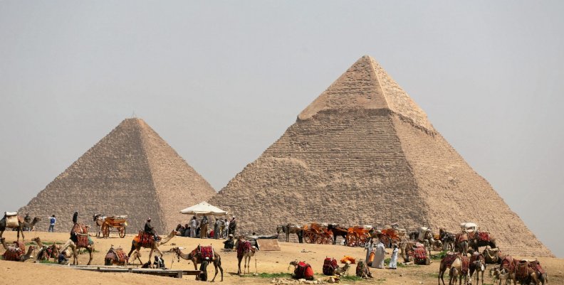 FILE PHOTO: A group of camels and horses stand idle in front of the Great Pyramids awaiting tourists in Giza FILE PHOTO: A group of camels and horses stand idle in front of the Great Pyramids awaiting tourists in Giza