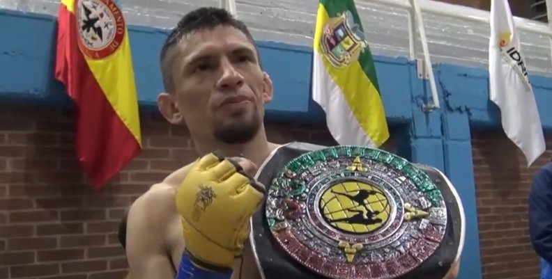 Ganador Ganador