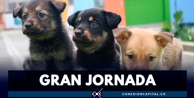 gran-jornada gran-jornada