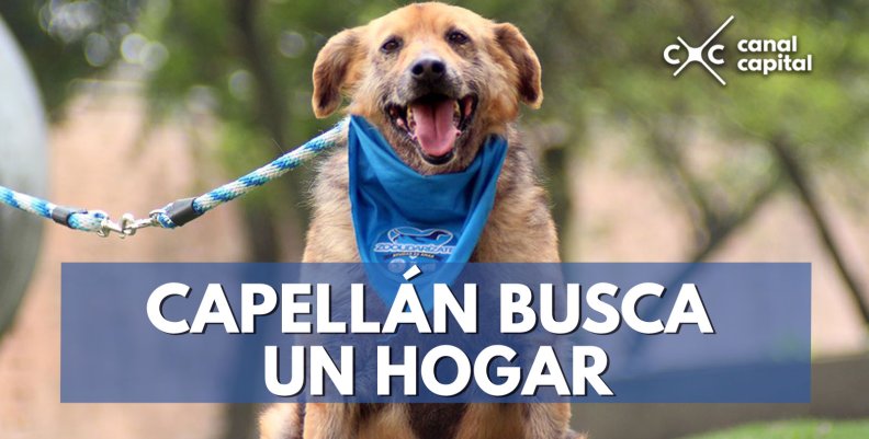 hogar hogar