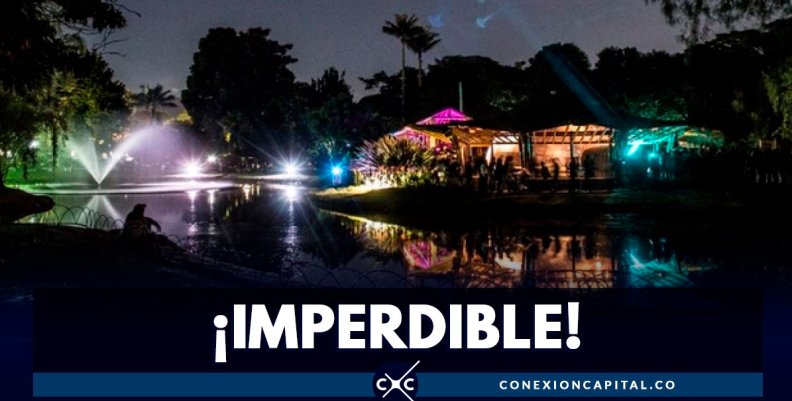 ¡IMPERDIBLE!- (1) ¡IMPERDIBLE!- (1)