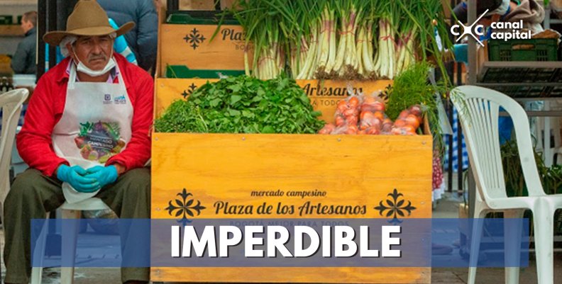 IMPERDIBLE IMPERDIBLE
