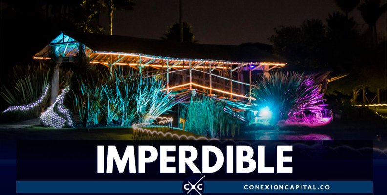 Prepárese para el primer Jardín de Noche del 2019 Prepárese para el primer Jardín de Noche del 2019