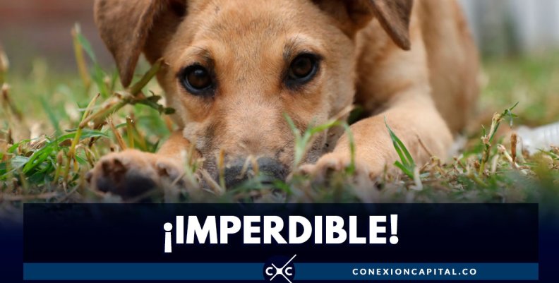¡IMPERDIBLE! ¡IMPERDIBLE!