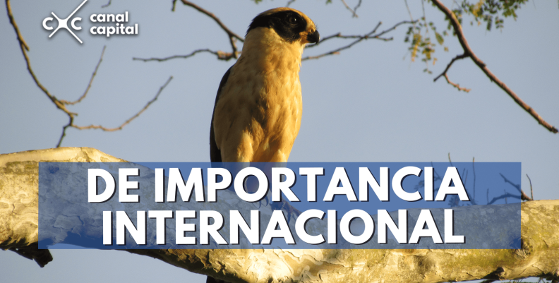 importancia-min (1) importancia-min (1)