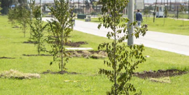 JARDÍN B JARDÍN B