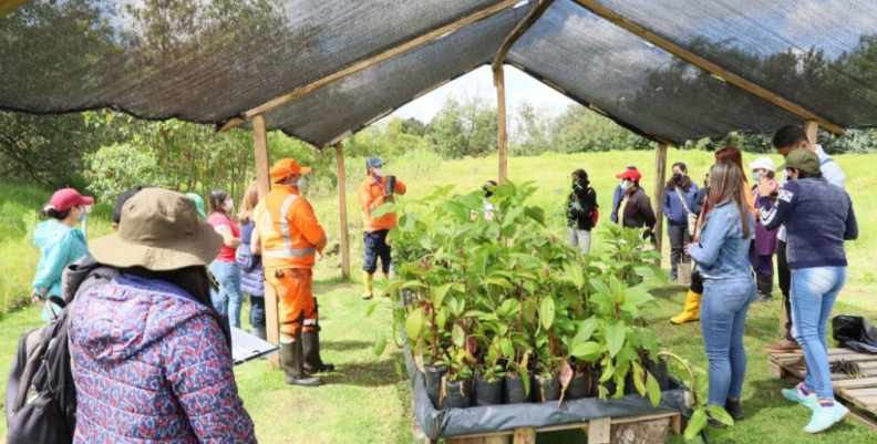 Vivero humedal de Bogotá. Vivero humedal de Bogotá.